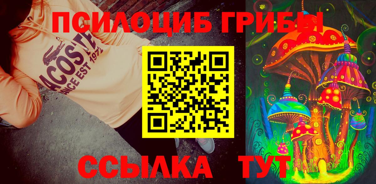 Галлюциногенные грибы GOLDEN TEACHER  Вход с VPN  Сургут 